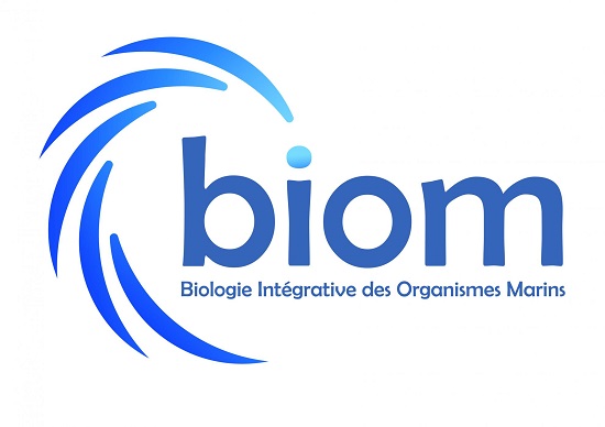 Alimentaire, cosmétiques, médicaments ou biocarburants – les 1001  ressources des algues, Sorbonne Université