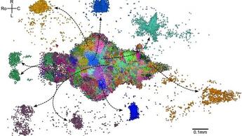 Neural assemblies uncovered by generative modeling explain whole-brain activity statistics and reflect structural connectivity