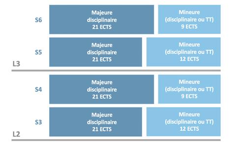 diplôme universitaire mineur